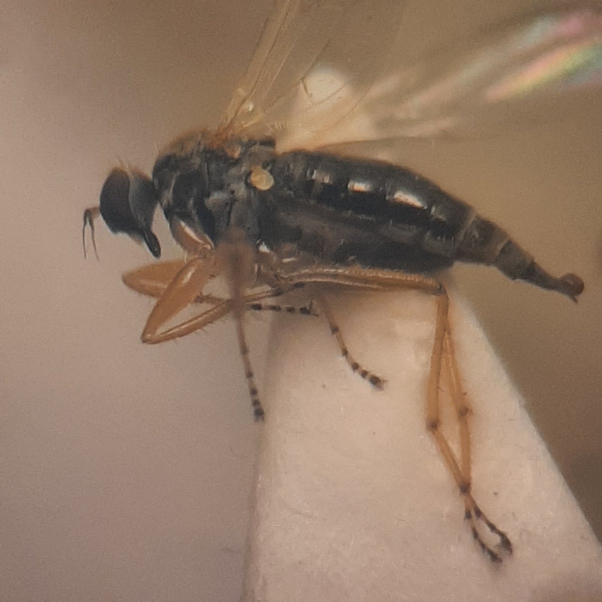 Hilco Meijer tweet media