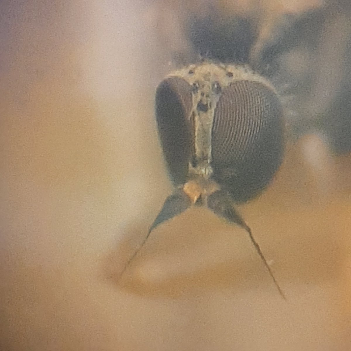 Hilco Meijer tweet media