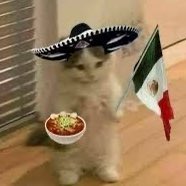 valentino_lasso's tweet photo. VIVA MÉXICO!! time to enjoy my themed tamales.🫔✨🌿 https://t.co/QPtkebMBGg