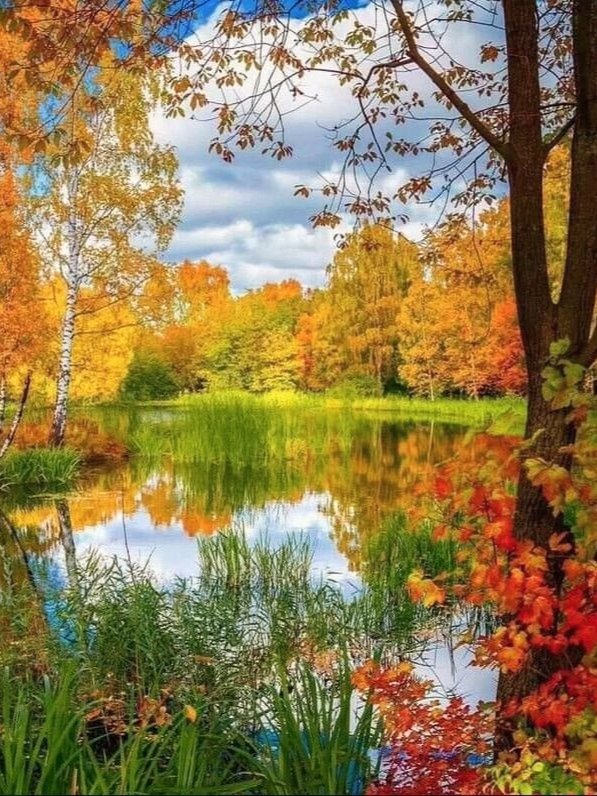 123 (@xetra_a) on Twitter photo 