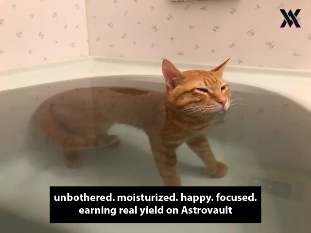 AXVMarketingDAO's tweet photo. And soon on @Neutron_org 🕉️🧘

Good times ahead for @axvdex 💰 https://t.co/dVUl5IXYXZ