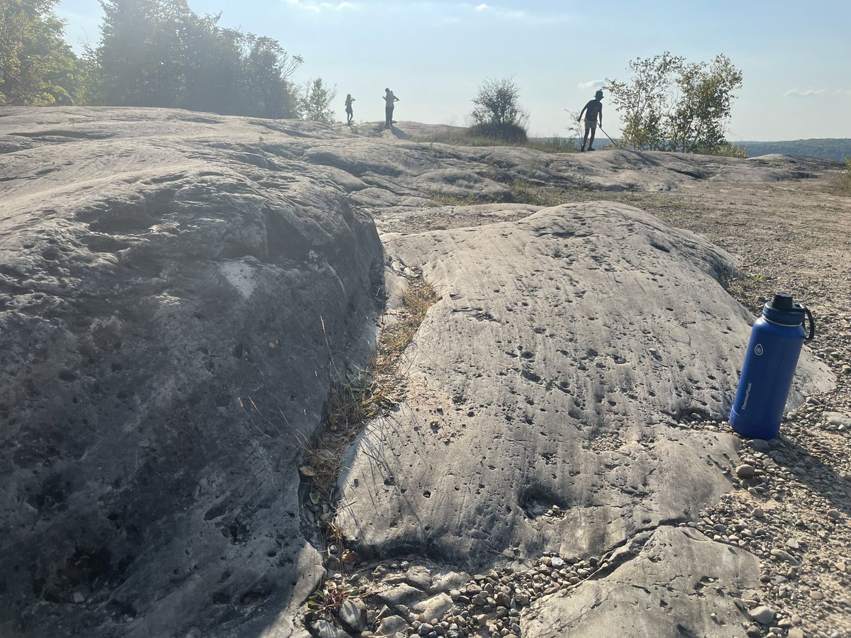 Martin Ross tweet media