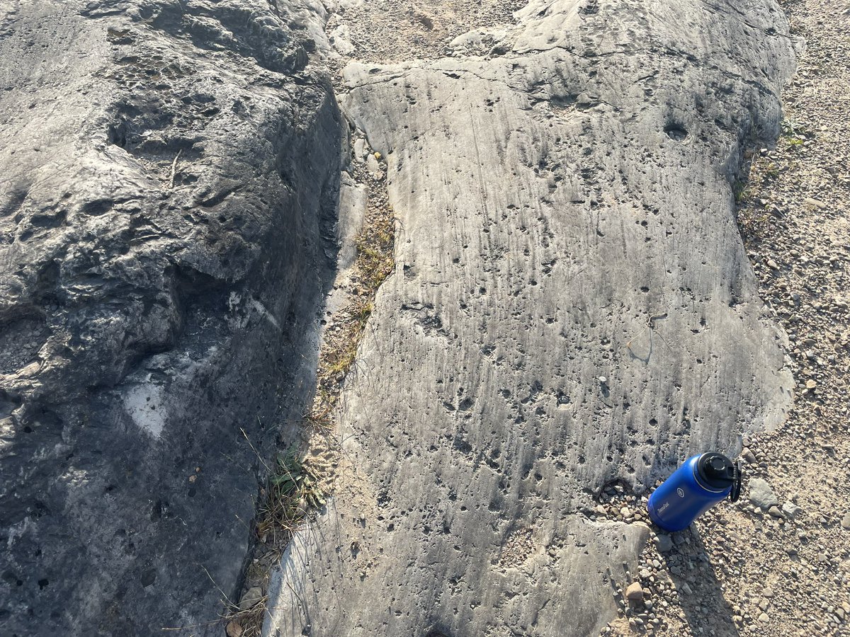 Martin Ross tweet media