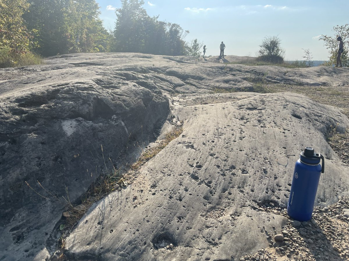 Martin Ross tweet media