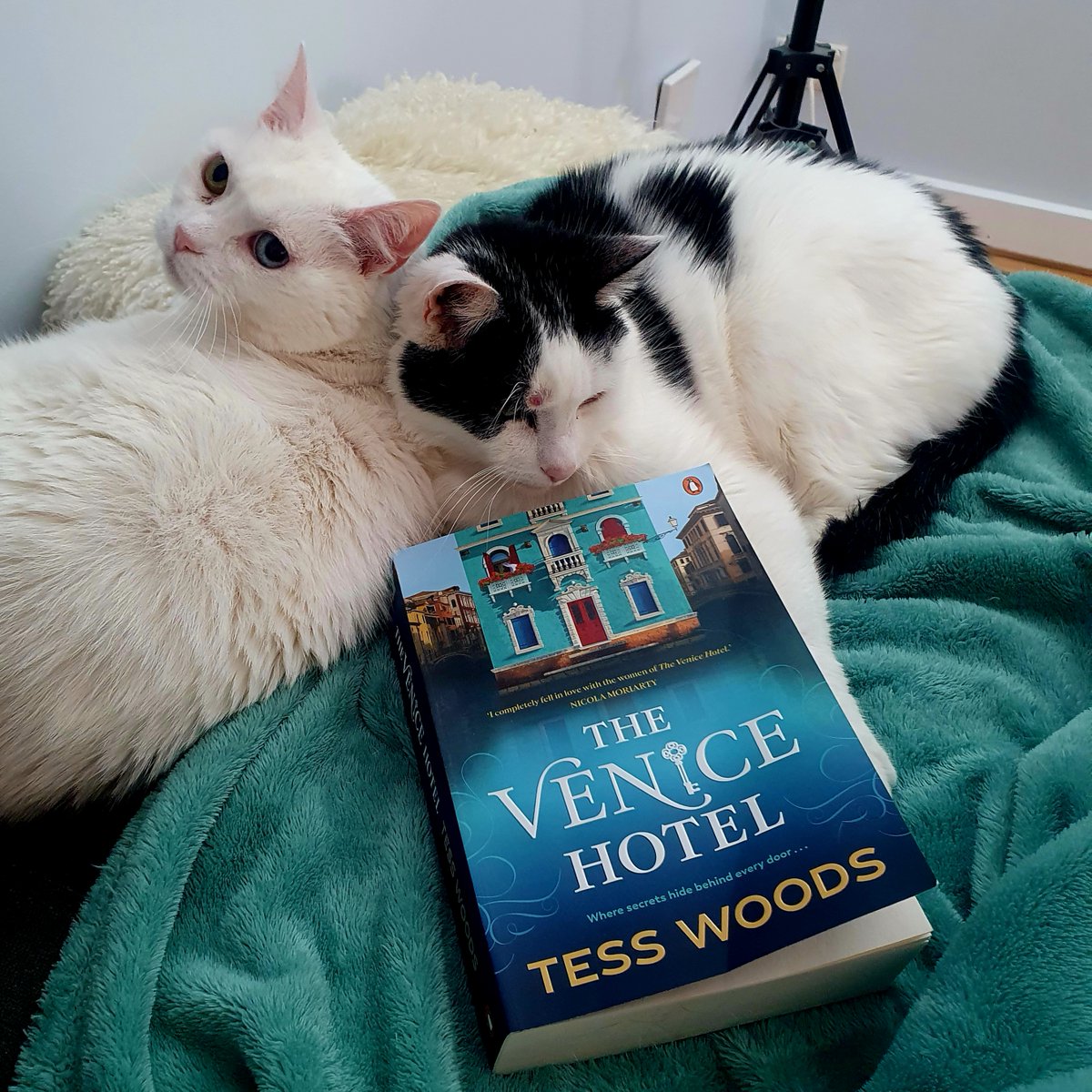 Jade St Clair tweet media