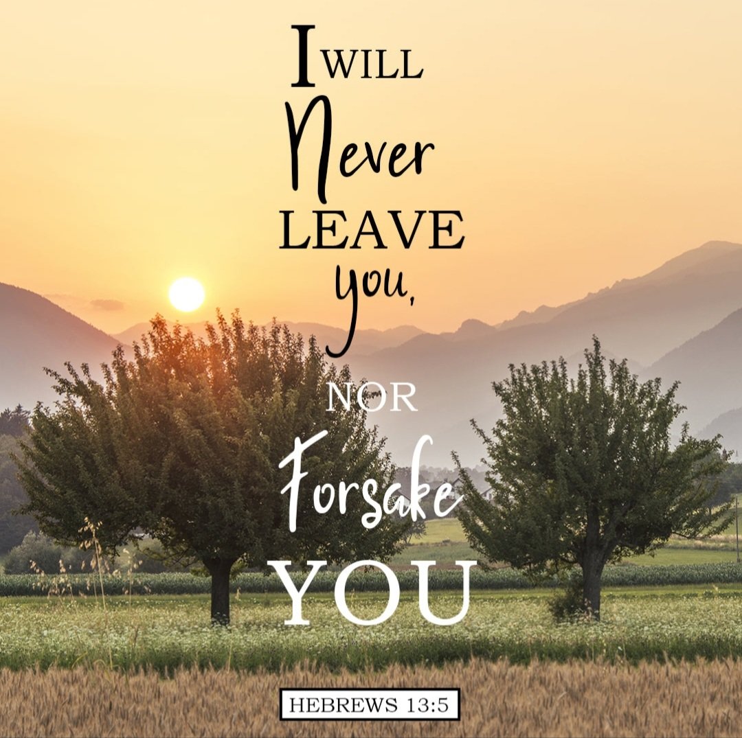 Melissa A. McLaughlin tweet media