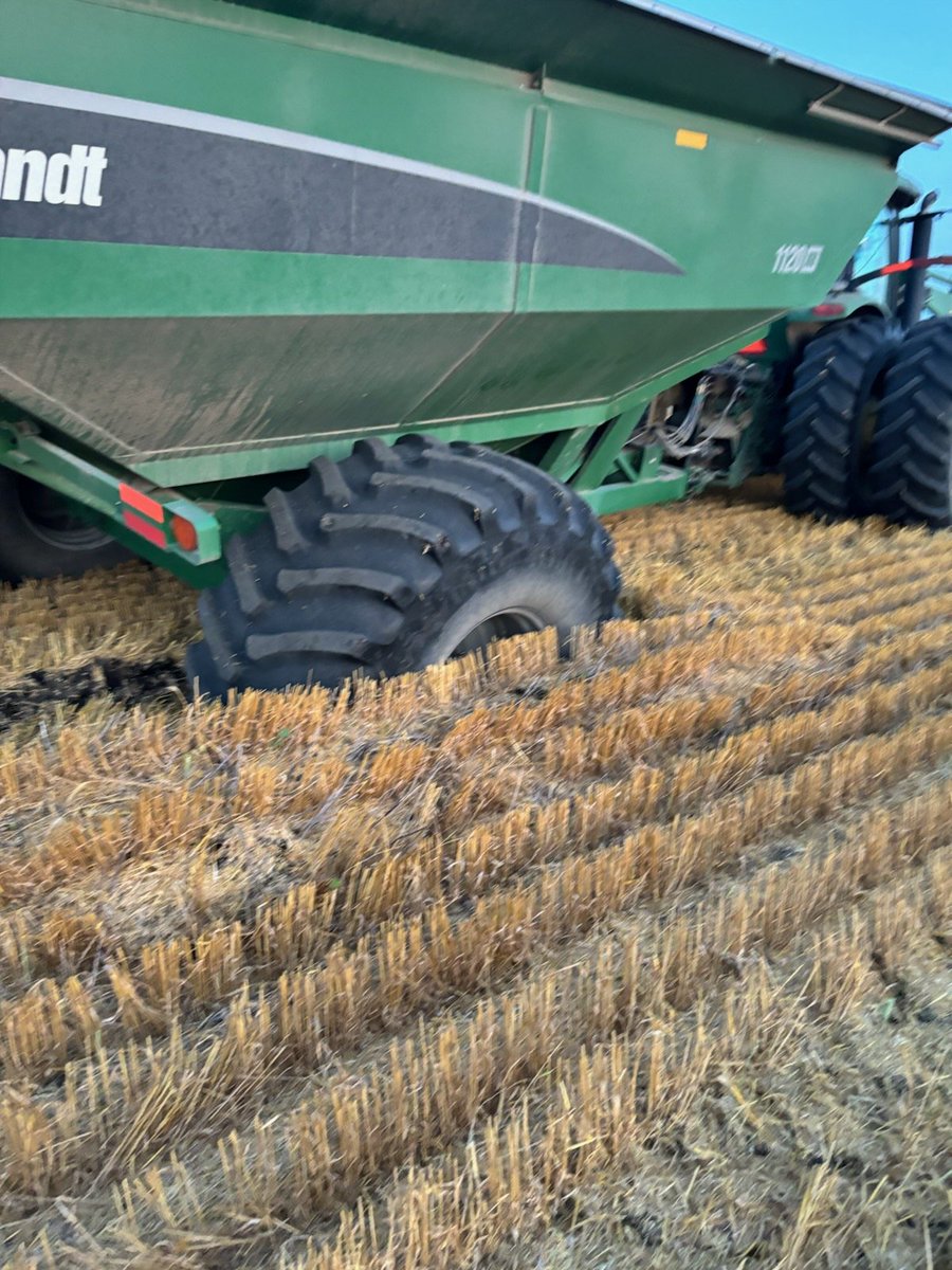 Chuck Deluxe tweet media