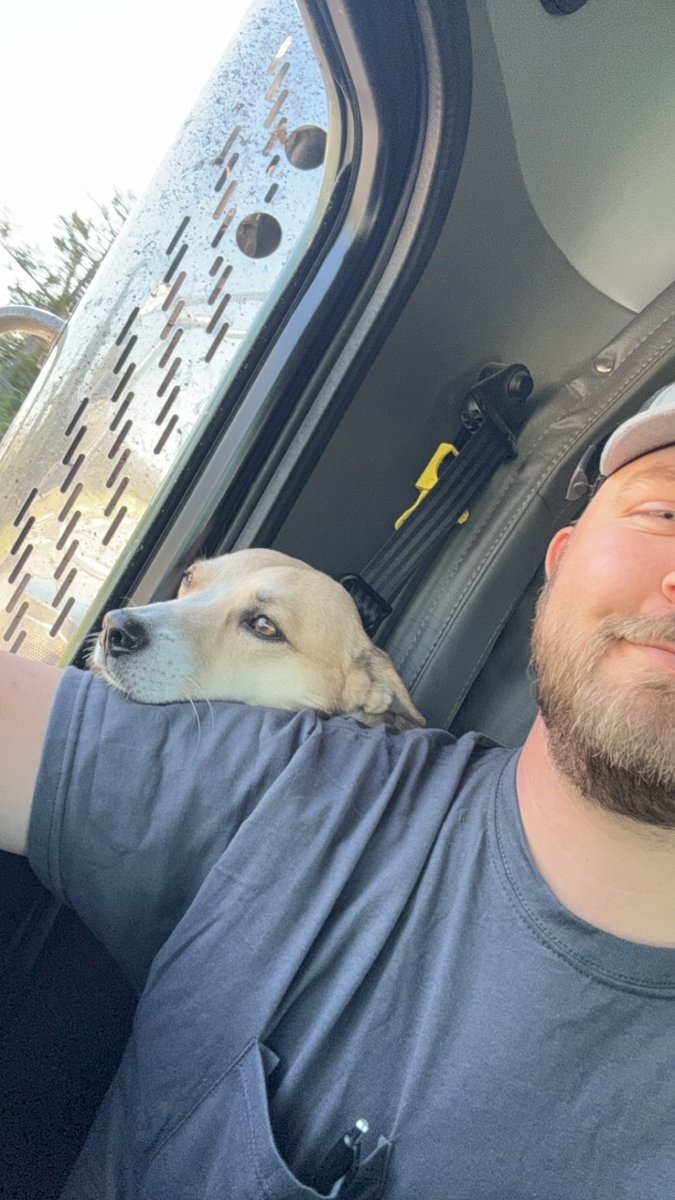 Fuck it. Me and the dog