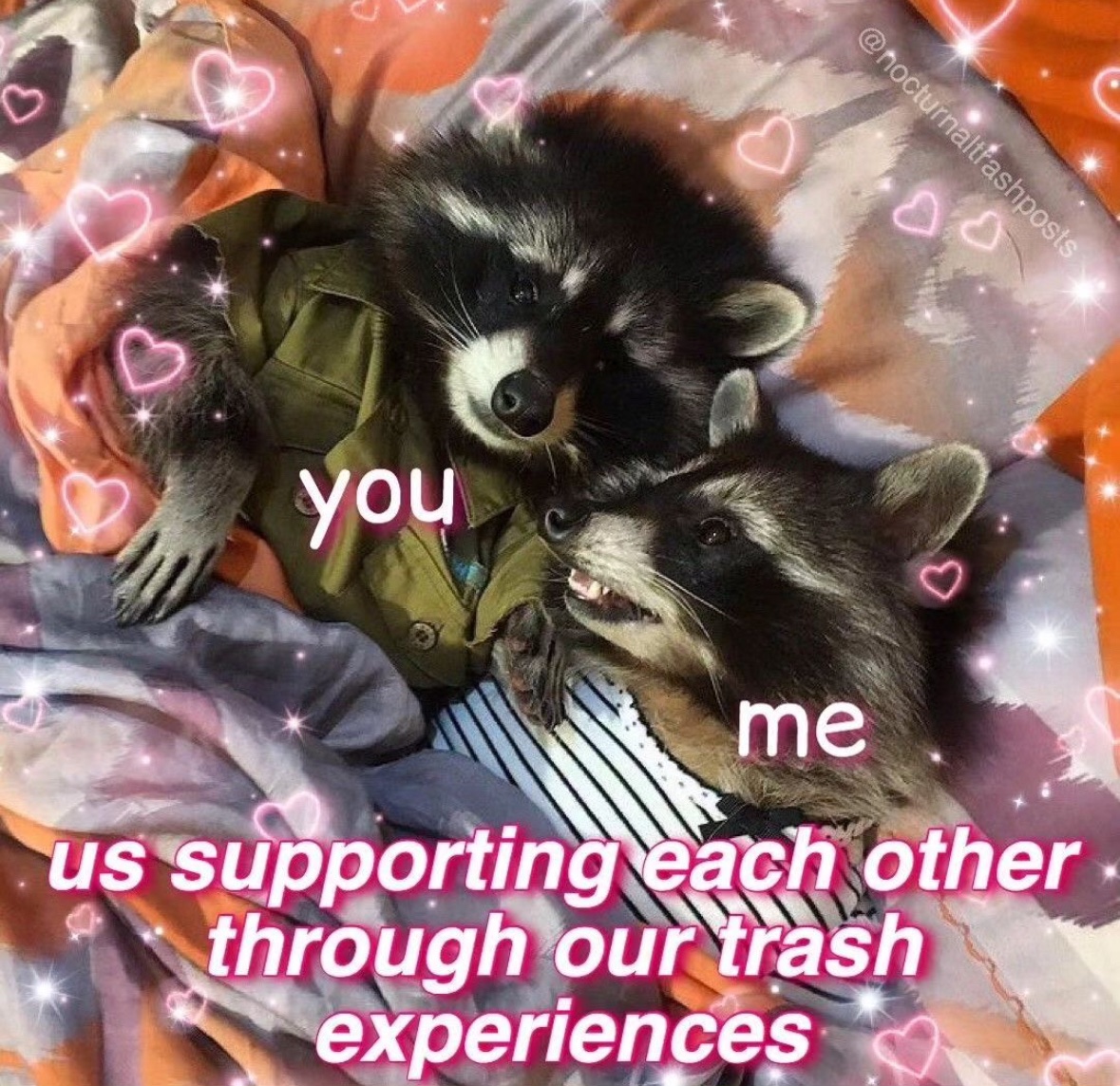 raccoonesthetic's tweet photo. https://t.co/ZbfhlMt3hW