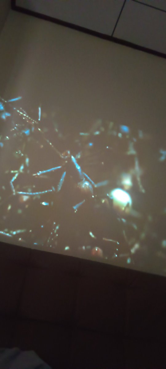 kulus98's tweet image. aktiviti harini

movie
makan
tido
lancap
tido
makan
movie
🤣