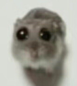 呜呜呜快乐的时光为什么总是那么短暂...这半年过得实在太开心了，开心到我整个人都变成阳光开朗小女孩了，能不能回到四月份再来一次【你