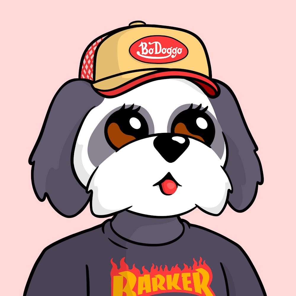 FINALLY righted my wrong for missing <a href="/EasyEatsBodega/">Easy</a> ‘s <a href="/BoDoggosNFT/">The Bitcoin Show (holding BoDoggosNFT Handle)</a> mint 

LOOK AT HER EYELASHES 
😍😍😍

SO HAPPIEEEEE 😁