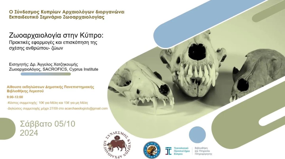 Association of Cypriot Archaeologists tweet media