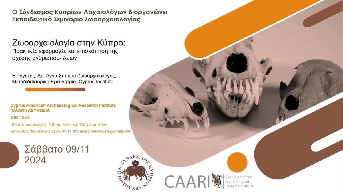 Association of Cypriot Archaeologists tweet media