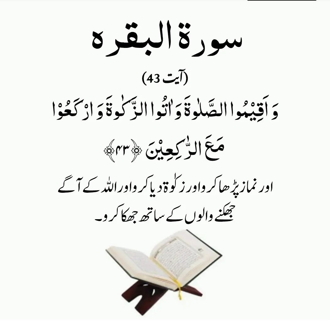 im12S12's tweet image. ❤️اَللّٰھُمَّ صَلِّ عَلٰی مُحَمَّدٍ وَعَلٰی آلِ مُحَمَّدٍ کَماصَلَّيتَ عَلٰی اِبْراھِيمَ وَعَلٰی آلِ اِبْراھِيمَ اِنَّكَ حَمِيدُ مَّجِيدُُ❤️ اَللَّھُمَّ بَارِك عَلٰی مُحَمَّدٍوَّعَلٰی آلِ مُحَمَّدٍ کَمَا بَارکتَ عَلٰی اِبراھِيمَ وَعَلٰی آلِ اِبراھيمَ اِنَّك حَمِيدُ مَّجِيدُ❤️