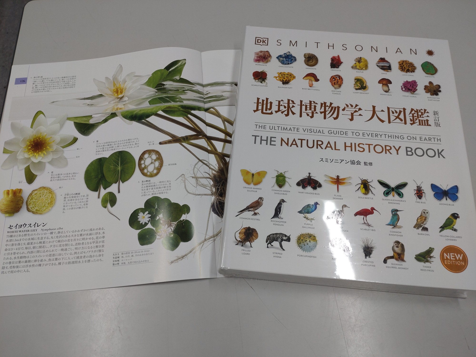 地球博物学大図鑑 未開封 公式通販 地球博物学大図鑑 スミソニアン協会