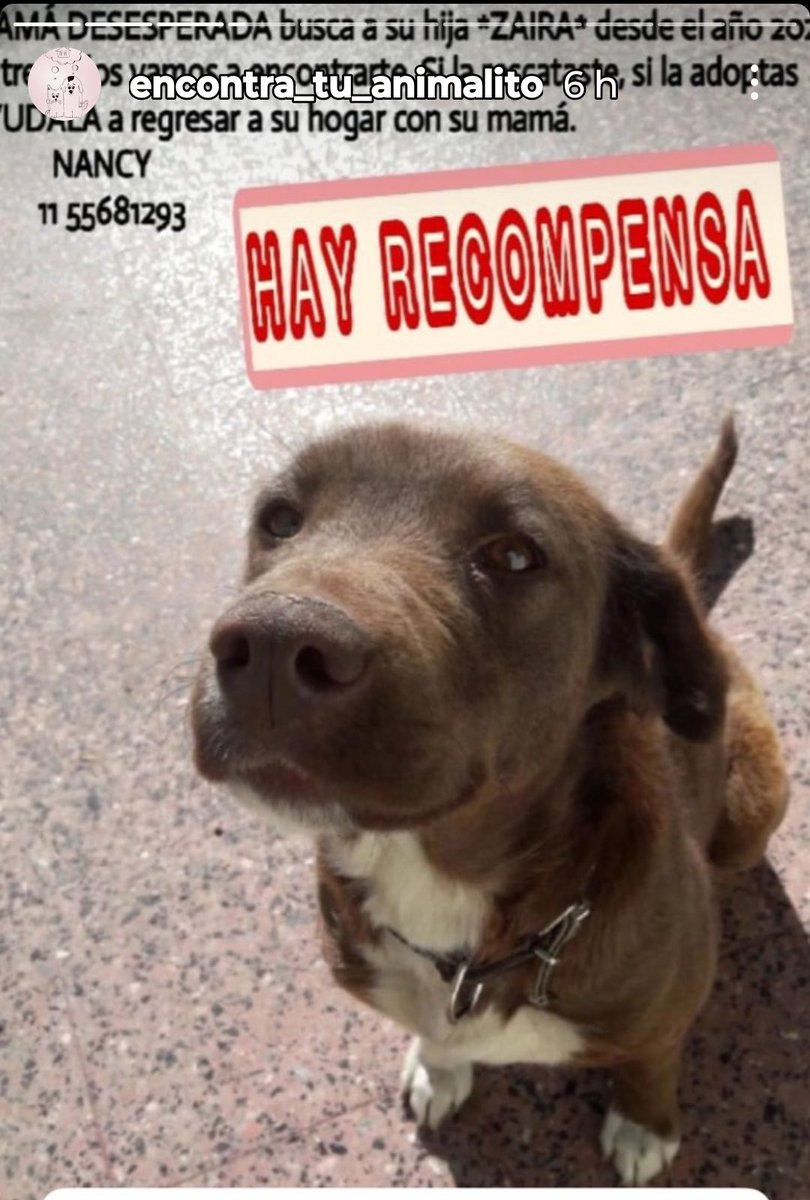 NewsssBarbara's tweet photo. @Librex666 @CamilaCuseta @JMilei @OPRArgentina @agarra_pala @jdoedoe101101 @BetoMendeleiev_ @NYGBertie @ElPelucaMilei @Tv_Libertaria @hombregrisxd Gracias !!!! https://t.co/tKilCo77aV