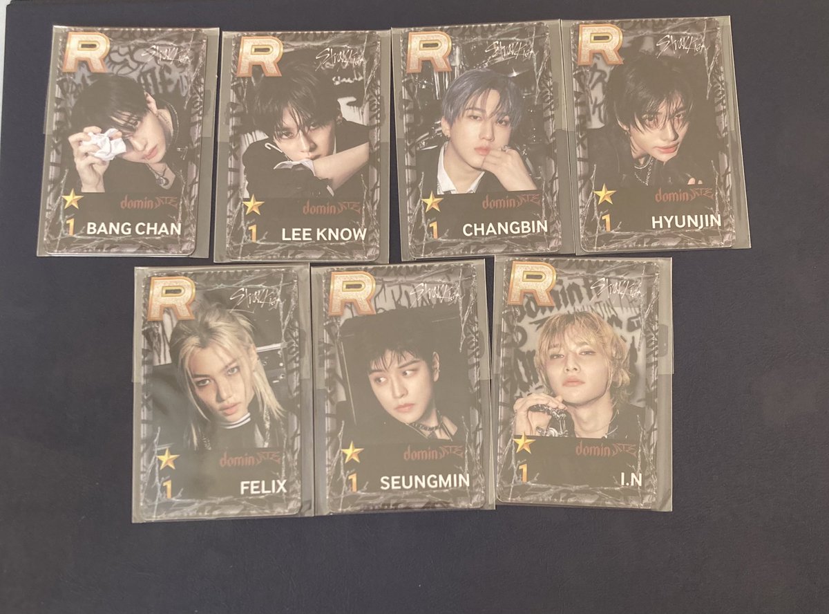 Straykids スキズ トレカ 交換  過去 stayzone skzoo ssjyp 店舗特典

譲)バンチャン リノ チャンビン ヒョンジン フィリックス スンミン アイエン

求)他ssjypハン ジソン🐿️

郵送希望です