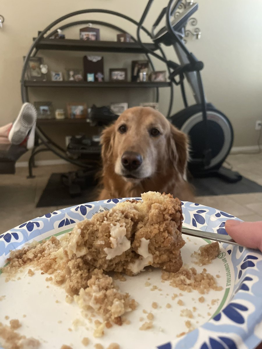 MyOtterAccount's tweet photo. I made a crumb cake :) https://t.co/tYuC9ZGYSo