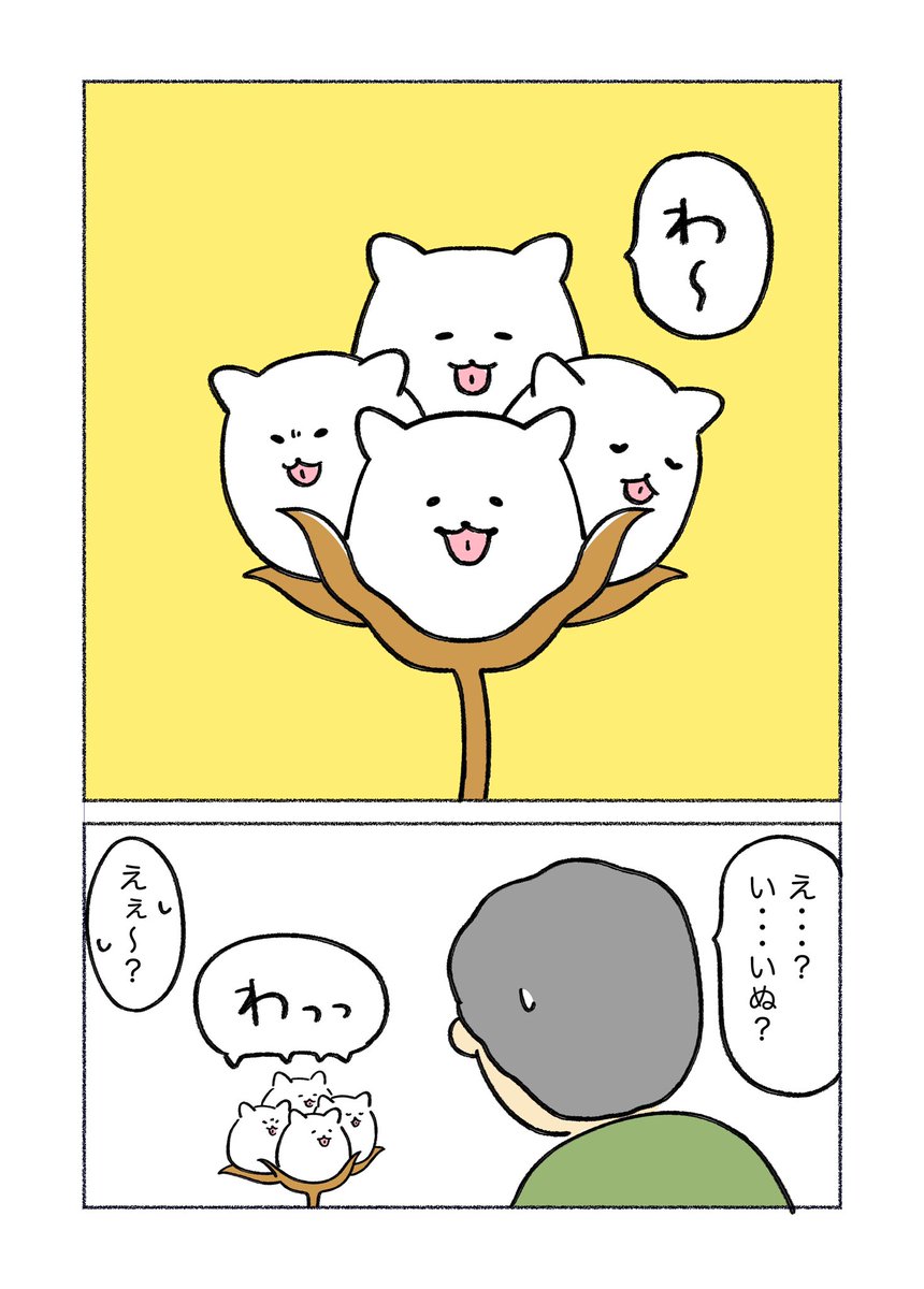 にゃち (@nyatipeco) / Posts / X