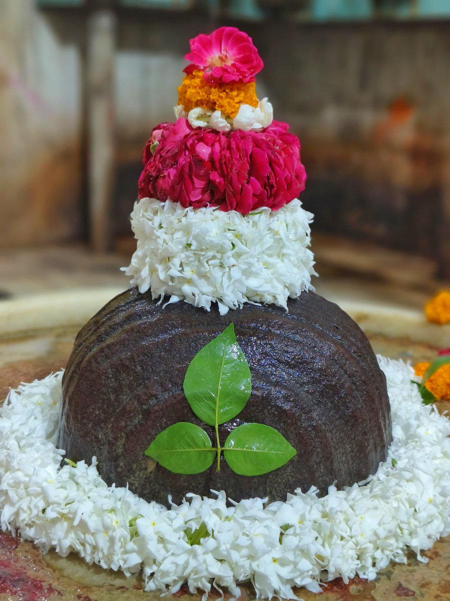 सौराष्ट्रे सोमनाथं च श्रीशैले मल्लिकार्जुनम्।
उज्जयिन्यां महाकालमोंकारममलेश्वरम्॥
परल्यां वैद्यनाथं च डाकिन्यां भीमशङ्करम्।
सेतुबन्धे तु रामेशं नागेशं दारुकावने॥
वाराणस्यां तु विश्वेशं त्र्यम्बकं गौतमीतटे।
हिमालये तु केदारं घुश्मेशं च शिवालये॥🪷
#महादेव 🙏
#ॐ_शिवाय_नमस्तुभ्यं