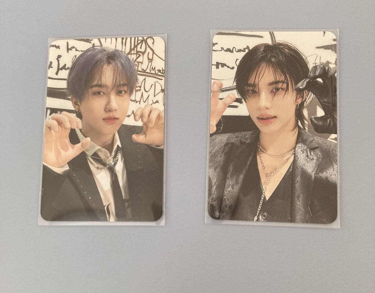Straykids スキズ トレカ 交換  過去 stayzone skzoo ssjyp 店舗特典

譲)チャンビン ヒョンジン
求)同種 ハン

郵送希望です