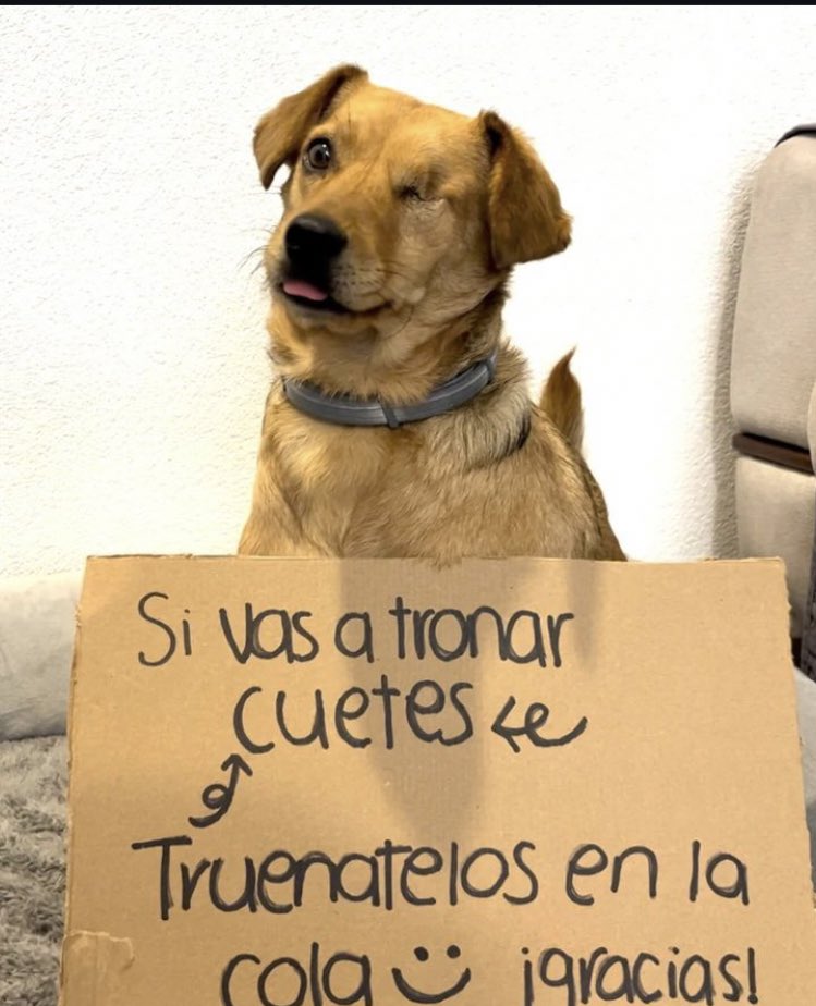 elizarrarasadri's tweet photo. Así es #15DeSeptiembre2024 https://t.co/0nKEoXvkME