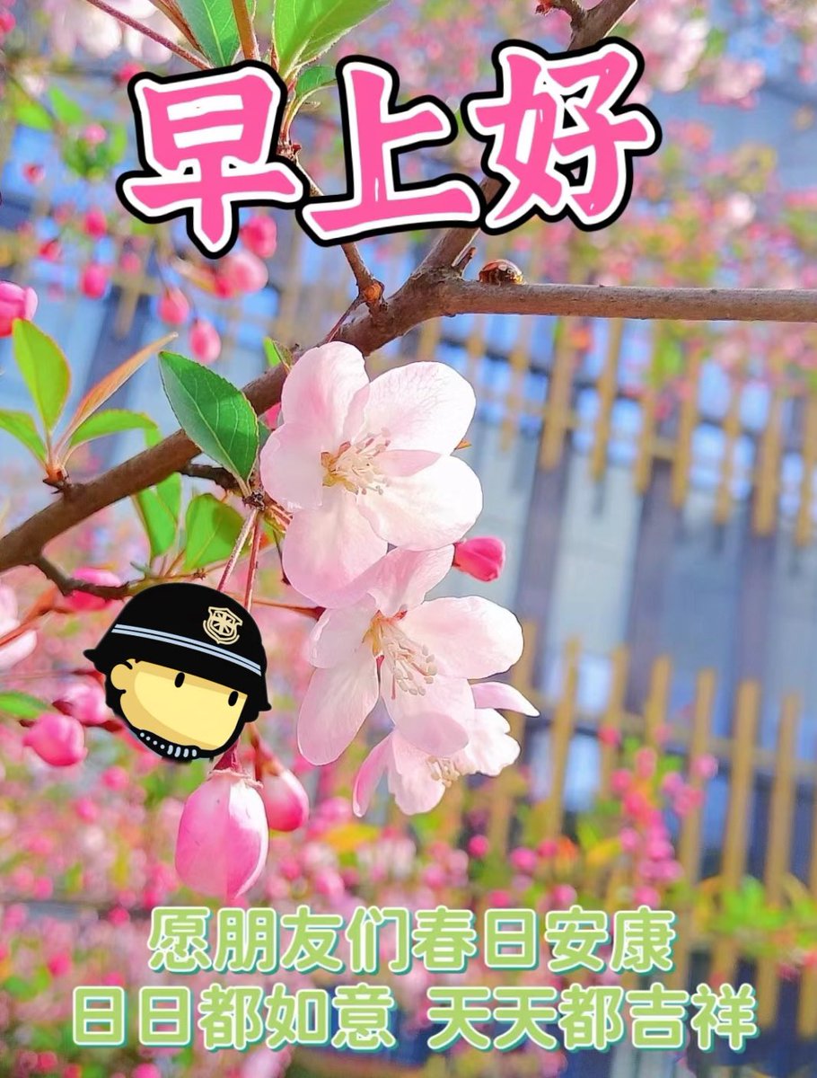 Baclub2024's tweet photo. GMMMMM☕️保安 https://t.co/TiWu19mgIh