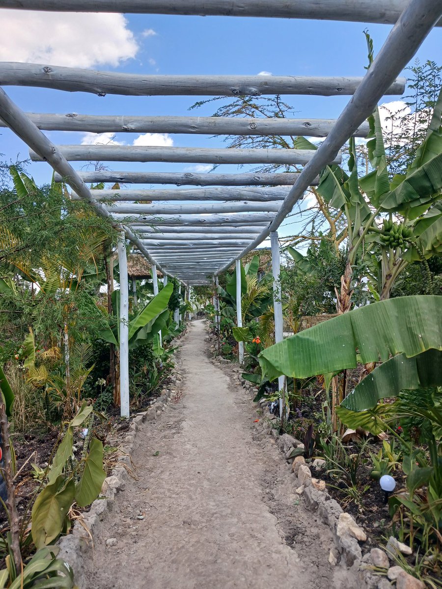 CPM_KAWEMBA's tweet image. A little weekend dump anyone?
Hidden gem 📍Ubuntu Kreative Village, Rongai.
Photo thread!☆

The last two weeks have been overwhelming much, and @Ubuntukreatives was the perfect place to reset and rewind. The two nights did me good!💆🏽‍♀️

I&apos;m now ready to kick ass!Lessgoo💥