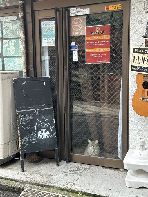 #猫かわいいね ってTLに流れてるの見ながら歩いてたらマスターがおって思わず撮った https://t.co/mJJoZjPYuY<a href="/tag/%E7%8C%AB%E3%81%8B%E3%82%8F%E3%81%84%E3%81%84%E3%81%AD"class="tags">#猫かわいいね</a>