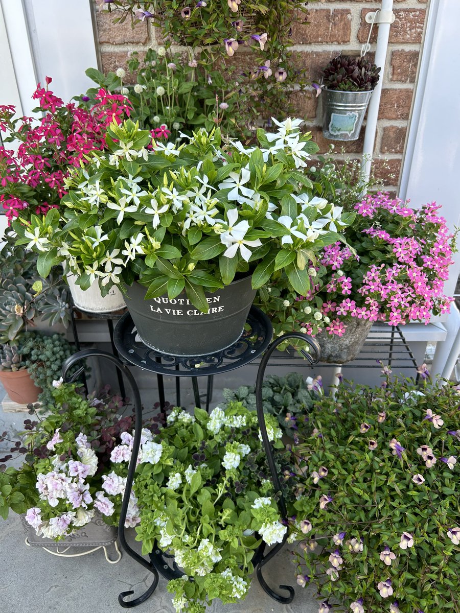 新田 (@uyJI0y4ov9B2WIY) / Posts / X