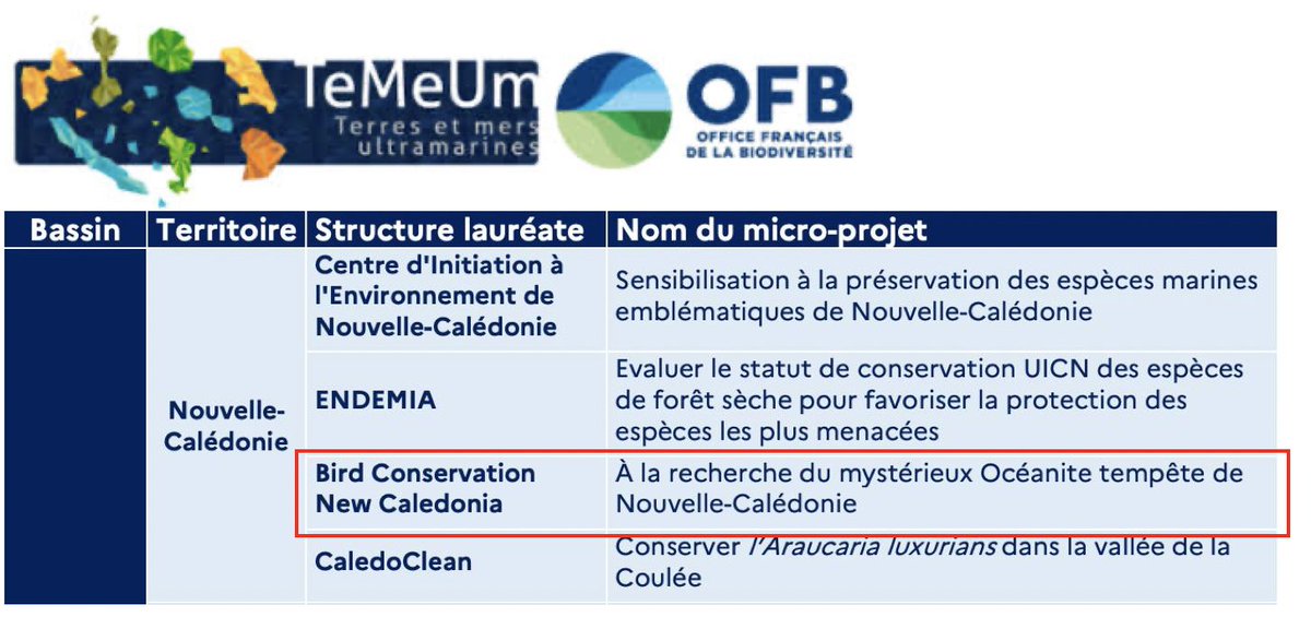 Bird Conservation New Caledonia tweet media