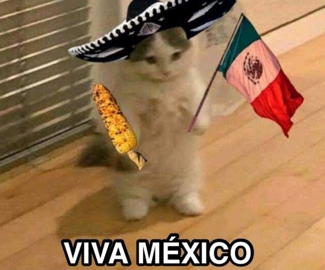 ¡VIVA MÉXICO! 🇲🇽🌮