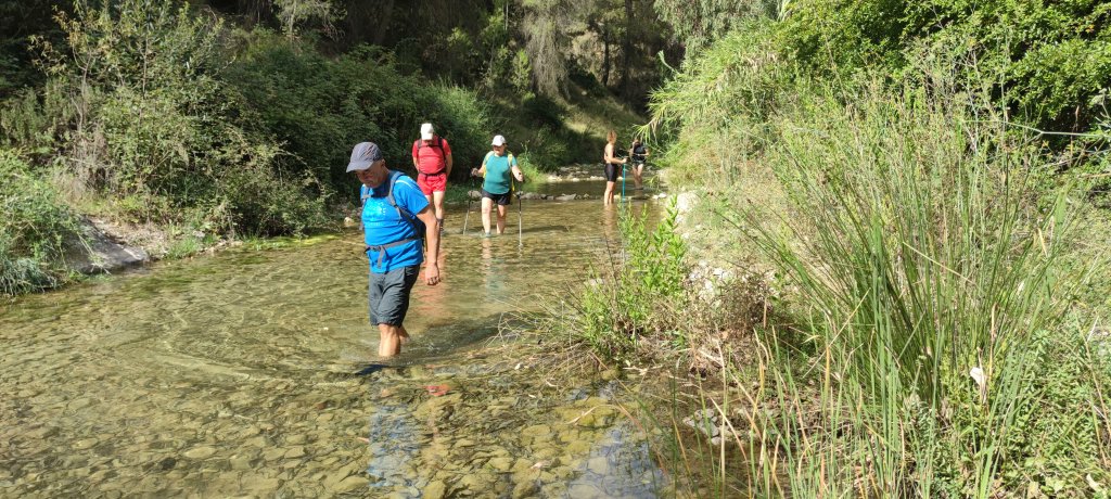 La_Carrasca's tweet image. ¡Ya estamos aquí!
Este sábado 21 de septiembre, ruta de senderismo refrescante por el río Mula. Y después, todos a la feria de día #Lorca.
No olvides traer ropa de baño, toalla y calzado de repuesto.
Te esperamos.
lacarrascaorg.wordpress.com/2024/09/16/pas…