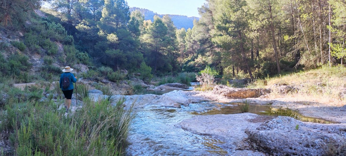 La_Carrasca's tweet image. ¡Ya estamos aquí!
Este sábado 21 de septiembre, ruta de senderismo refrescante por el río Mula. Y después, todos a la feria de día #Lorca.
No olvides traer ropa de baño, toalla y calzado de repuesto.
Te esperamos.
lacarrascaorg.wordpress.com/2024/09/16/pas…