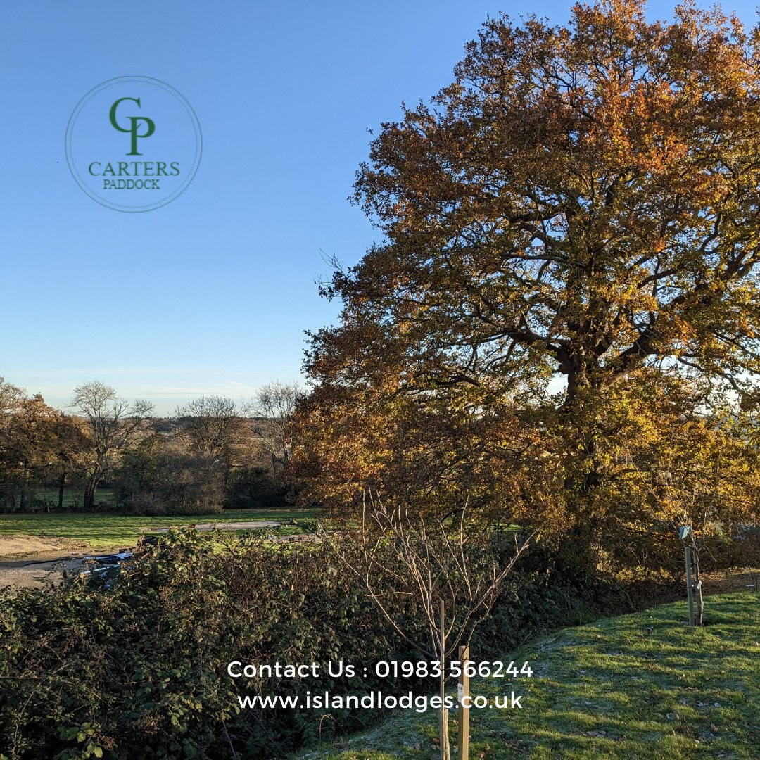 Not long now until those crisp blue sky autumn days...🍂

#iow #isleofwight #visitisleofwight #autumndays #roebeckcountrypark