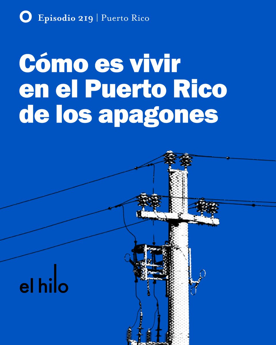 El hilo tweet media