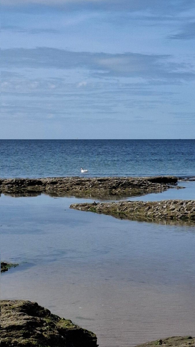 BA041961's tweet image. #Bretagne #penestin