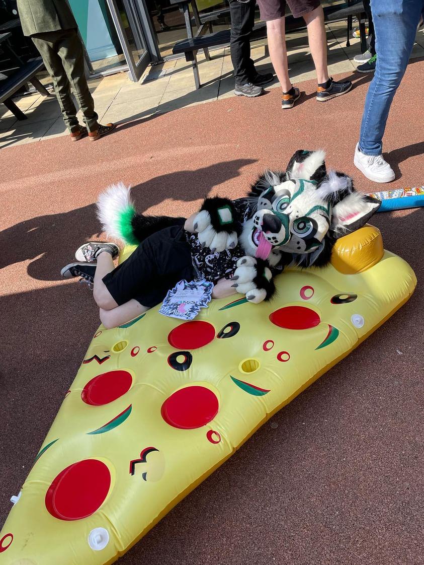CuppaCollie's tweet photo. @TheInodog First vs Recent suit!

I made my first suit back in 2019 for Halloween. I had to use fabric for most of it cause I didnt have the fur and I just glued the patterns onto the face🤣 5 Years Later and I've made a suit that im extremly proud of and have started fursuit commissions!😄 https://t.co/kamaBWhSJp
