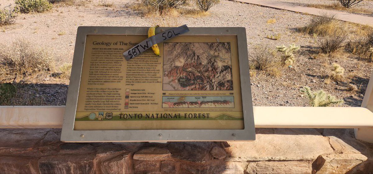 AmRKHaL65604119's tweet image. $BTW is on the topp 🍌🍌