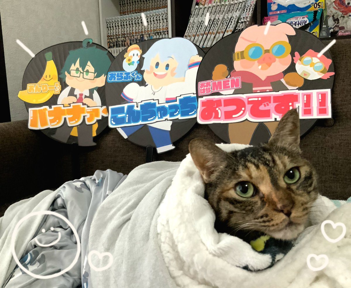 とっちゃん tweet media