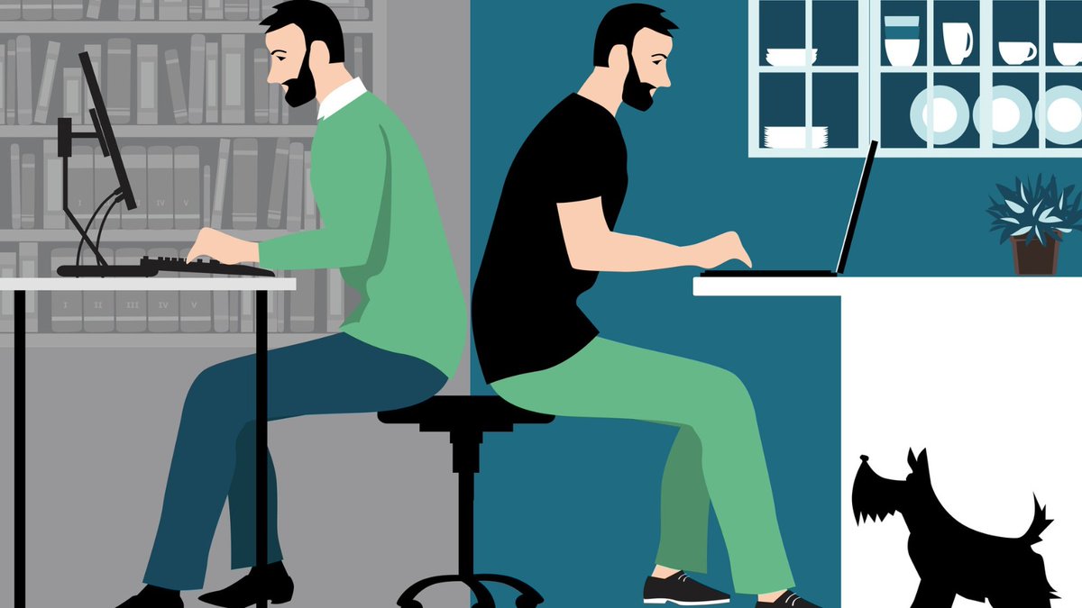 3⃣ millones de personas teletrabajan en España

👨‍💻En el Día Internacional del Teletrabajo te hablamos de cómo lo llevamos en España y de cómo debe ser esta modalidad que últimamente repunta📈

📌Cómo va y cómo es teletrabajar en España
⬇️📺
rtve.es/v/16249971