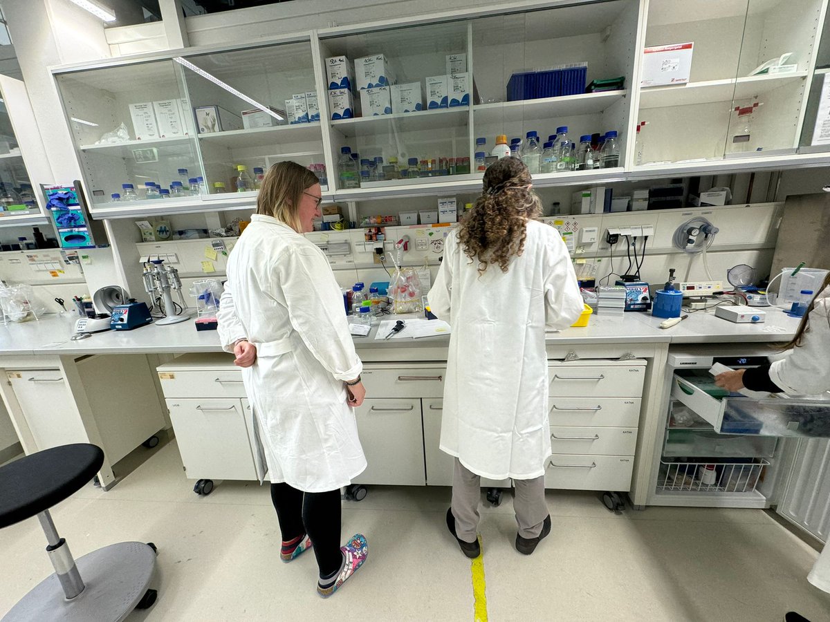 EMBLHamburg's tweet photo. It's been great eight days full of cutting-edge science and practical sessions with fantastic participants at the EMBO Practical Course #EMBOPEPC at EMBL Hamburg.

Let us know in the comments what has been the most helpful for you and how you plant to use it in your research! https://t.co/L1B4hst3pg