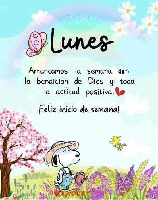 Feliz y bendecido inicio de semana gente hermosa 🙏🏼🫶🏼✨