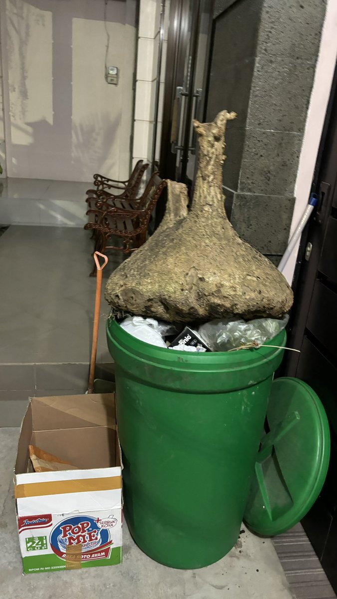 tetangga kos gua buang apa ini anjir