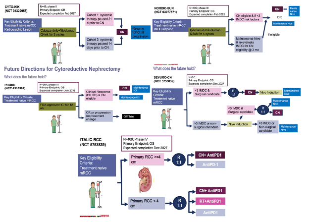 Ongoing trials of cytoreductive nephrectomy.
📸 courtesy of <a href="/carme_mir1/">Carme Mir</a> 

<a href="/urotoday/">UroToday.com</a> #ESMO24