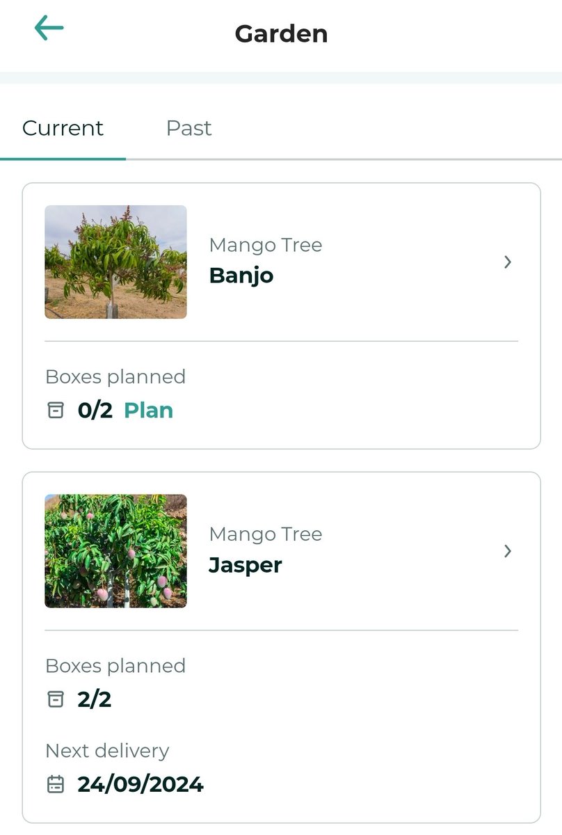KamerdiFurry's tweet photo. As a gay guy I might never have kids. But at least my adopted mango trees will keep me company 🥰 #crowdfarming https://t.co/q0xRBWSmo7