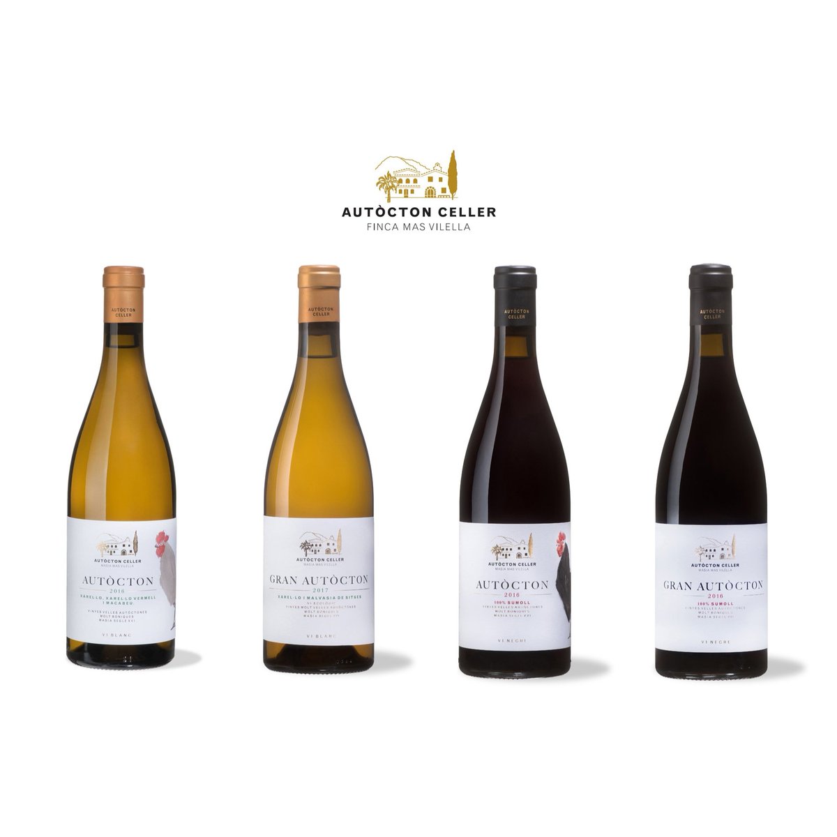 Autocton Celler tweet media