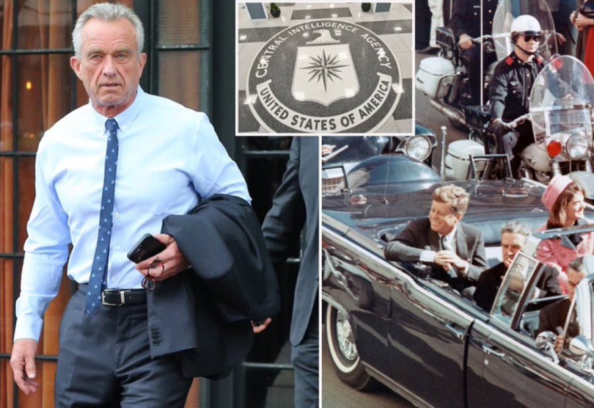 MAGA Voice tweet media