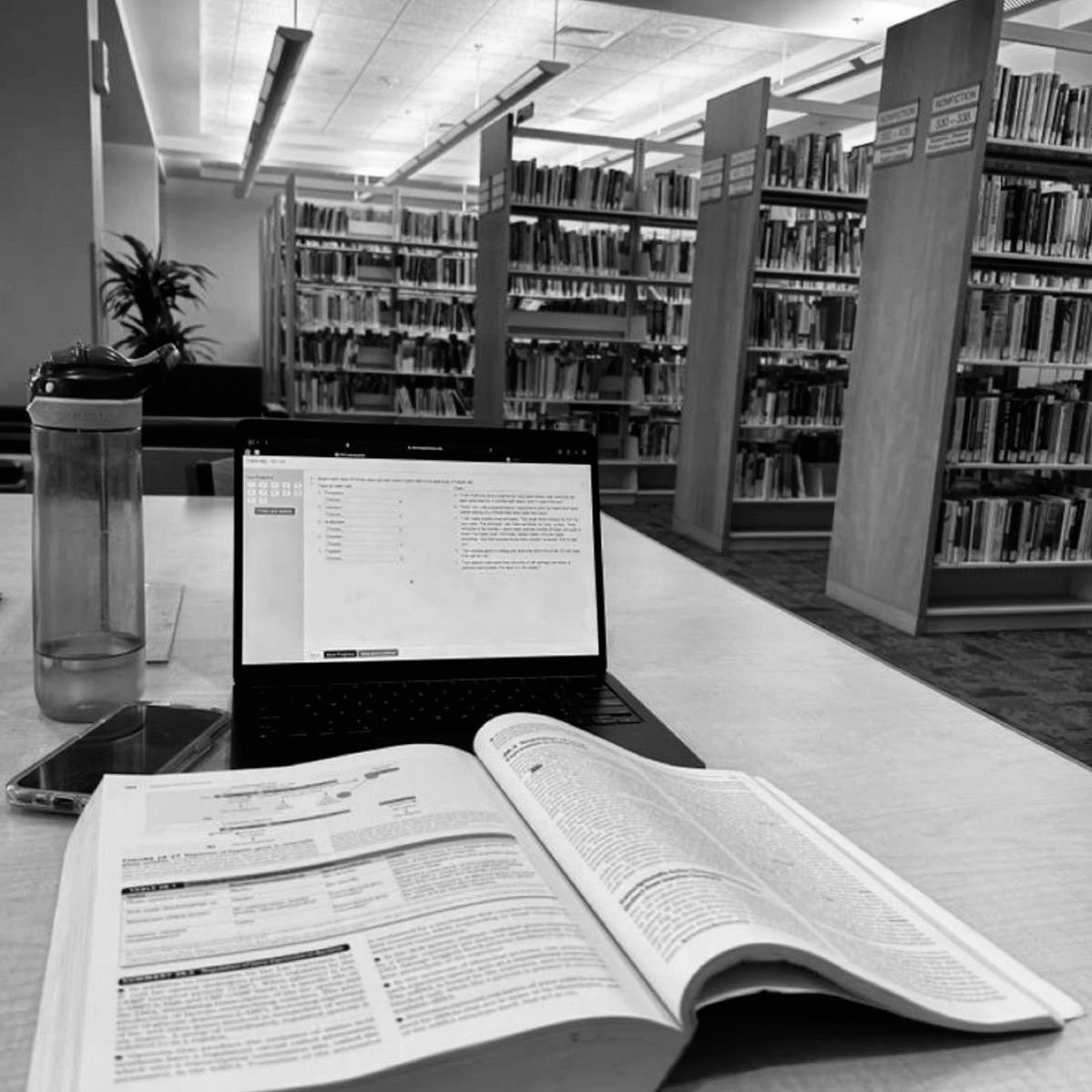 ️

️
 
Sumpah, ini bukan ide gue.
 
️

️